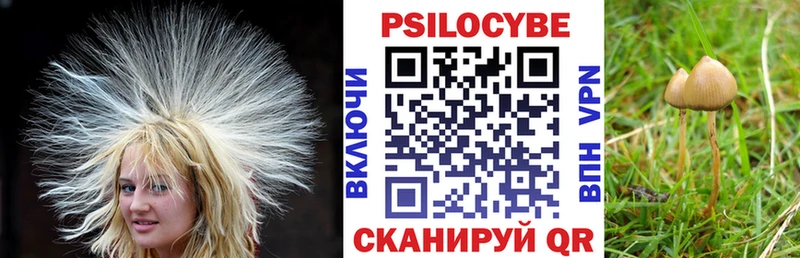 Псилоцибиновые грибы Cubensis  Моршанск 
